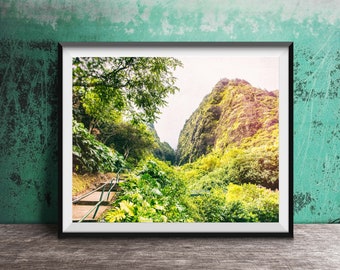 Maui, Hawaii Photography Print - Unframed Wall Art Print - Hawaiian Landscape, Tropical Rainforest, Hiking Trail