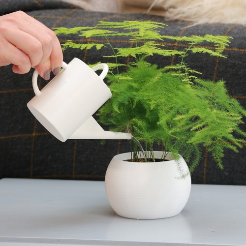 Small Watering Can Etsy UK