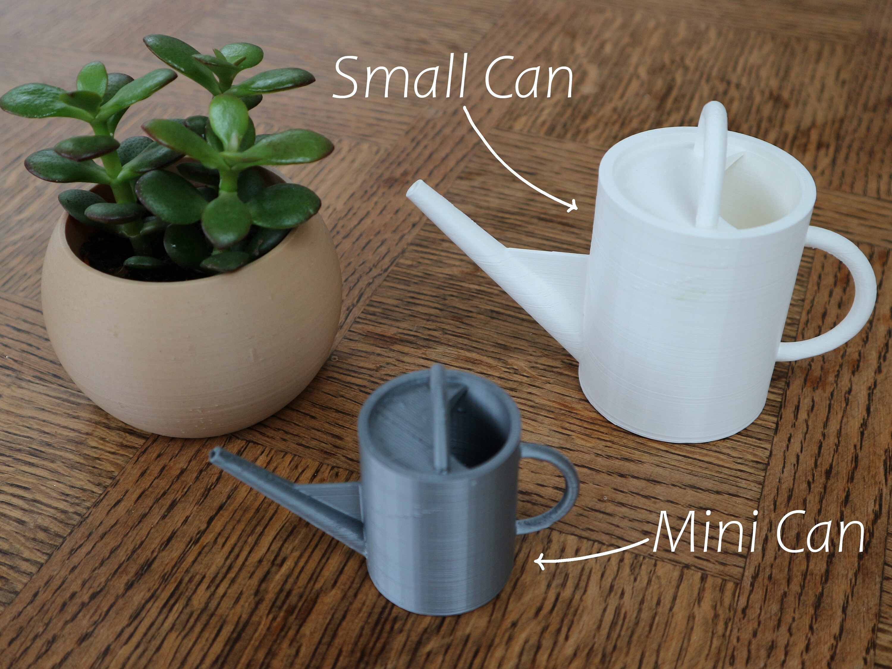 Small Watering Can Etsy