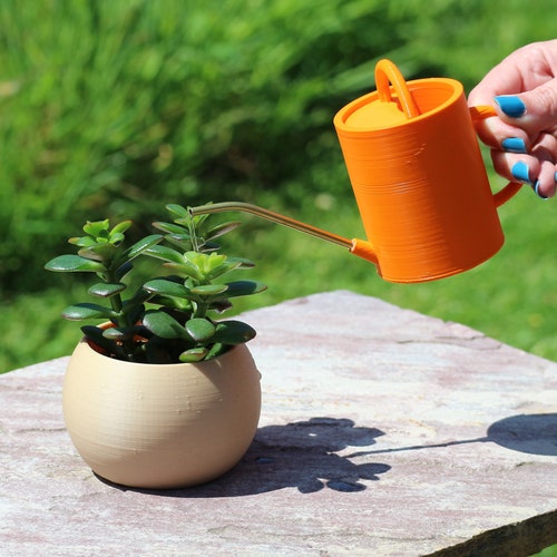 Small Watering Can Etsy UK