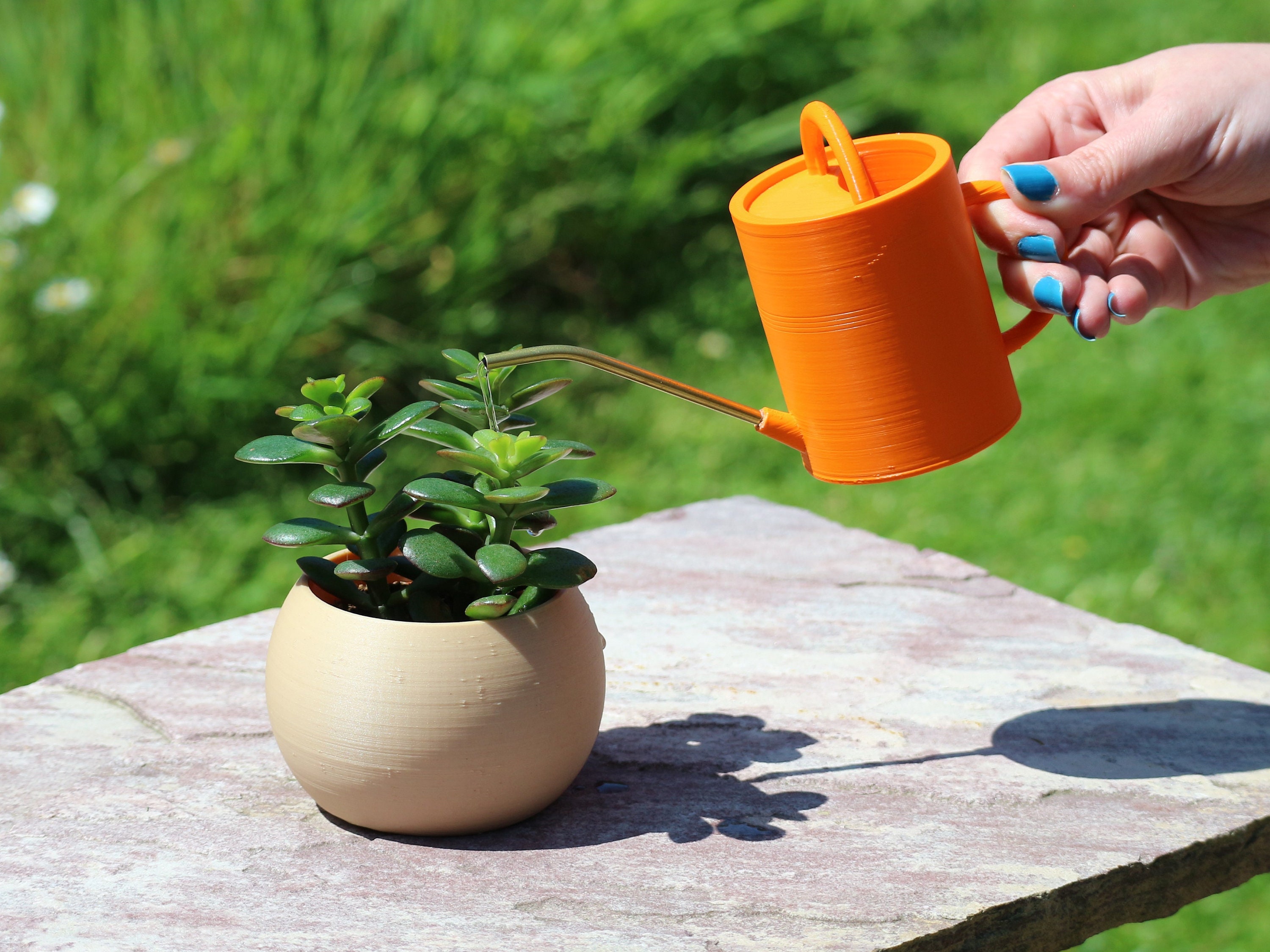 Small Watering Can 'bonsai' Etsy UK