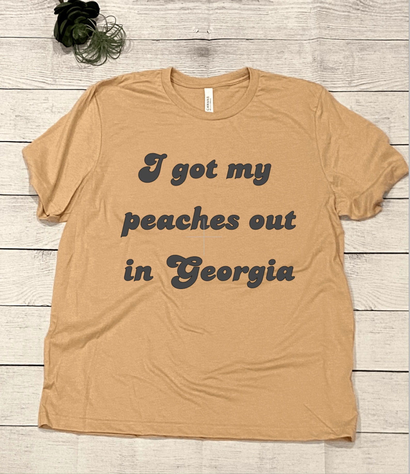I Got My Peaches Out in Song Lyric Graphic Tshirt Etsy