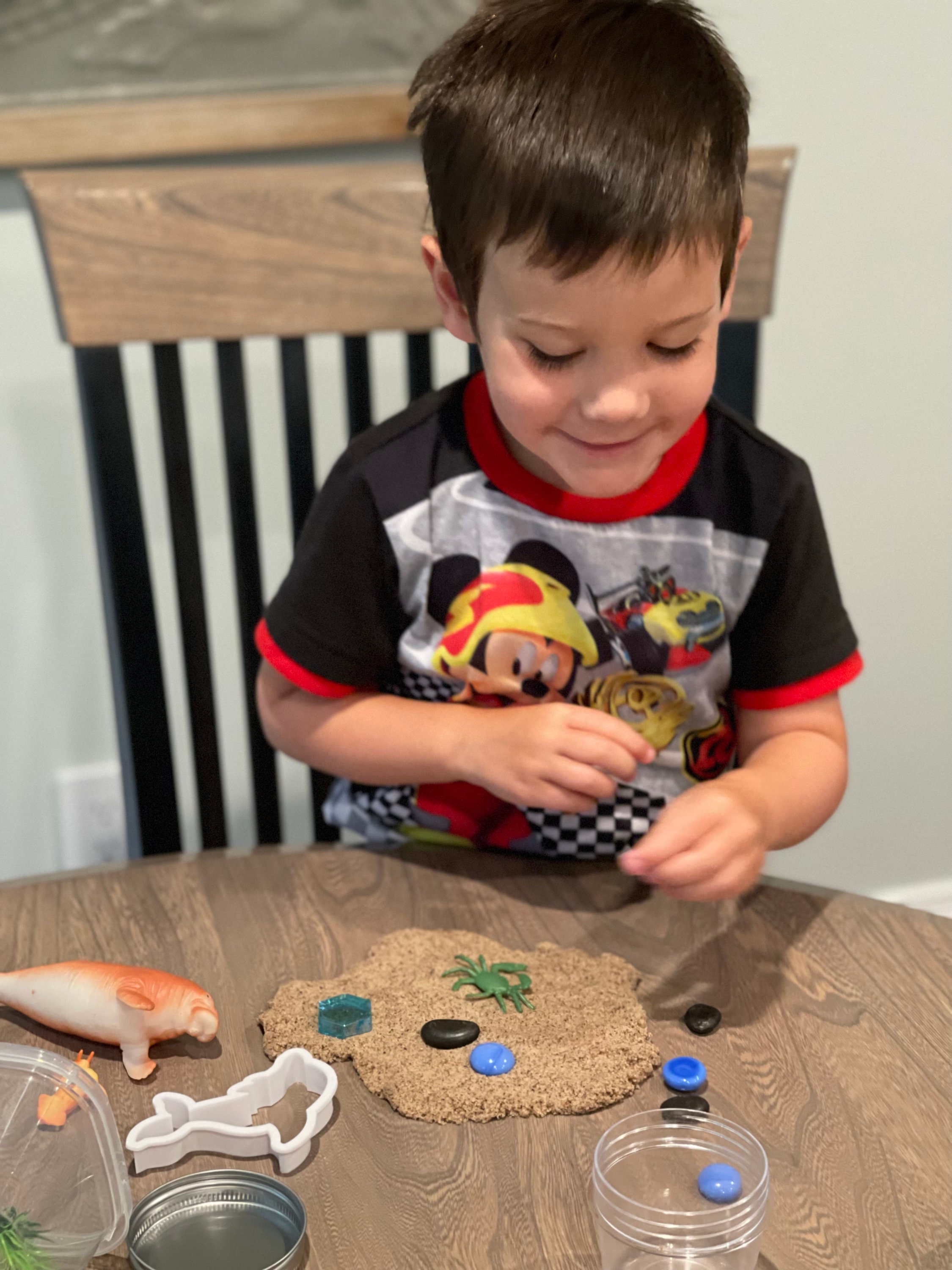 Ocean Play Dough Kit Under the Sea Sensory Kit Ocean Etsy