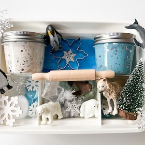 Arctic Animals play dough kit, Winter Play Dough Kit, Animals in the Snow, Winter Sensory Box, Arctic Animals Sensory, Kids Winter Birthday
