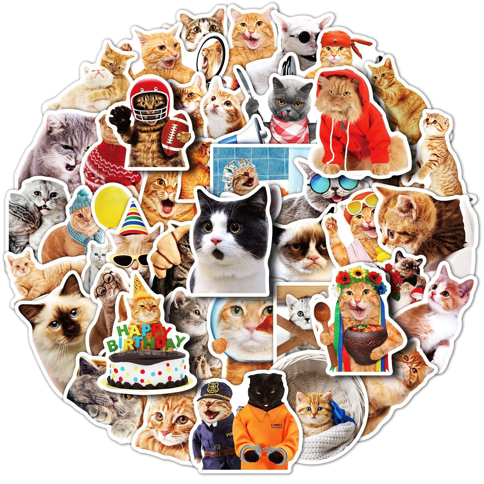 Yezmo 50 PCS Cat Meme Stickers Cat Stickers, Funny Cute Kawaii Stickers for  Kids Teens Adults, Kitten Kitty Vinyl Waterproof Stickers Decals for Water