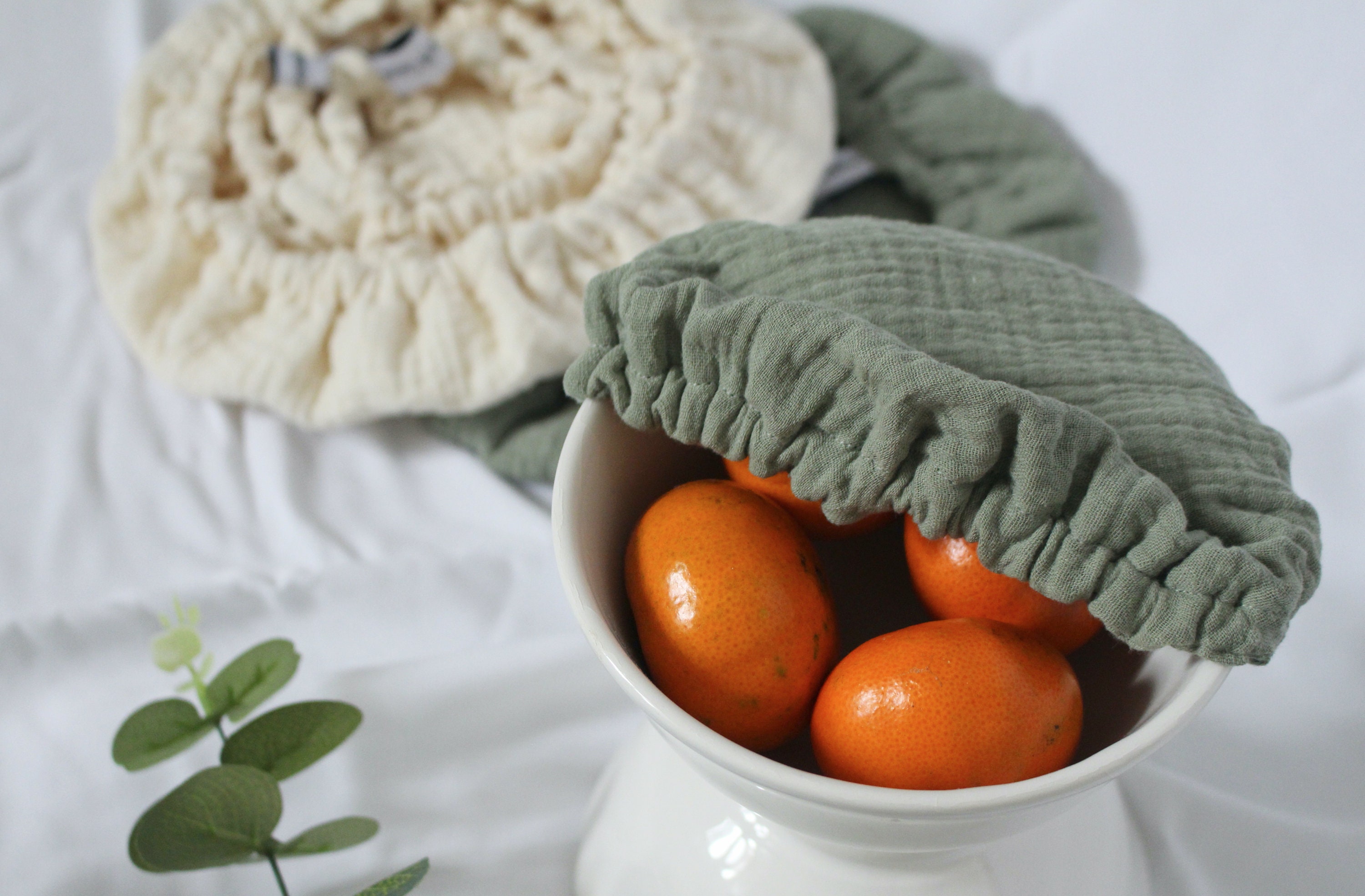 Charlotte à Plat/Charlotte Alimentaire/ Recouvre Couvre Plat