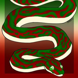 May include: Digital illustration of a snake with a green and red pattern on a white base. The snake has green eyes and is set against a gradient background of green and red.