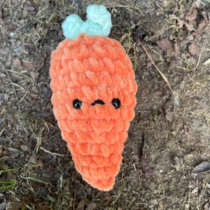 Cozy Carrot!