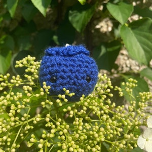 Blueberry Buddy