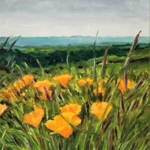 California Poppies&quot;