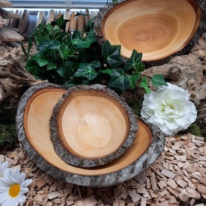 May include: Two wooden bowls made from tree bark, one inside the other. The bowls are natural wood colour and have a smooth, rounded interior. The bowls are sitting on a bed of wood chips.