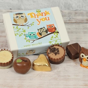 Luxury Thank You Belgian Chocolate Box With Cute Owl Wrapper. Ideal Present / Gift To Say Thanks To A Teacher, Carer Or Friend