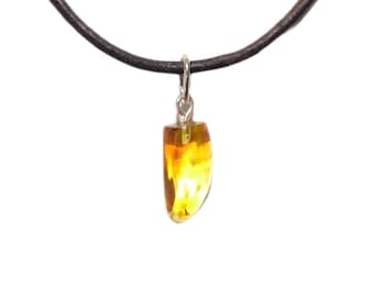 Baltic Amber 925 Sterling Silver Dinosaur Tooth Claw Wolf Tooth Pendant Carved Celtic Gothic Natural Amber Succinite Butterscotch