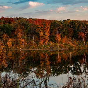 Midwest Fall Photo, Autumn Colors Home Decor, Fall Foliage Wall Art, Midwest Fall Digital Download, Fall Colors Digital Download, Home Decor