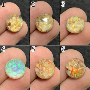 May include: Six round opal gemstones with unique patterns and colors. The opals display a variety of internal structures, including flashes of green, blue, and orange. Each stone is held in a hand, showcasing the opals' individual characteristics.