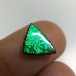 Natural Ammolite Gemstone Smooth Fancy Cabochon High Quality Loose Gemstone for Jewelry Making WholesaleGems Popegems 11x8x3 MM P2005