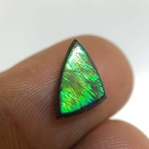 Natural Ammolite Gemstone Smooth Fancy Cabochon High Quality Loose Gemstone for Jewelry Making WholesaleGems Popegems 11x7x3 MM P2000