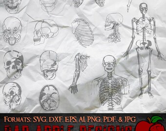 Skeleton Bundle 3 - High resolution svg, AI, png and MORE!