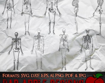 Skeleton Bundle 2 - High resolution svg, AI, png and MORE!