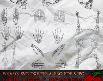 Skeleton Bundle 1 - High resolution svg, AI, png and MORE!