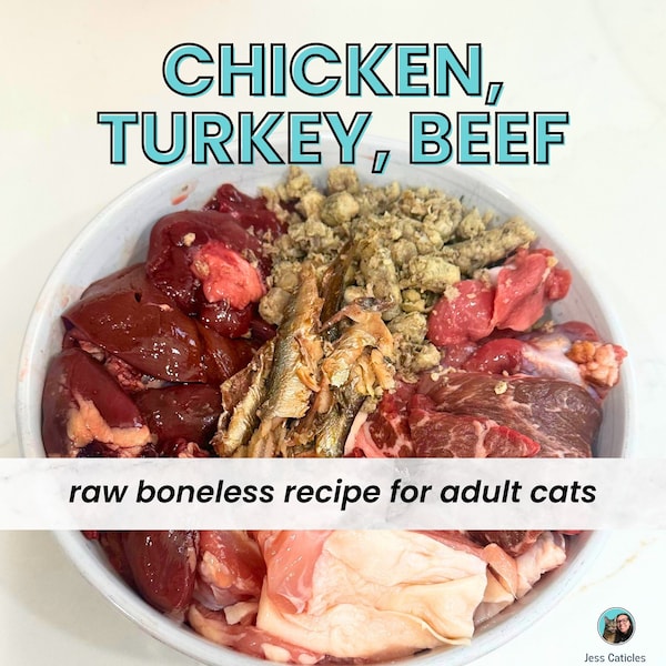 Boneless chicken turkey beef homemade raw cat food, 1 recipe for adult cats, grain free natural meat diet, printable PDF, easy diy