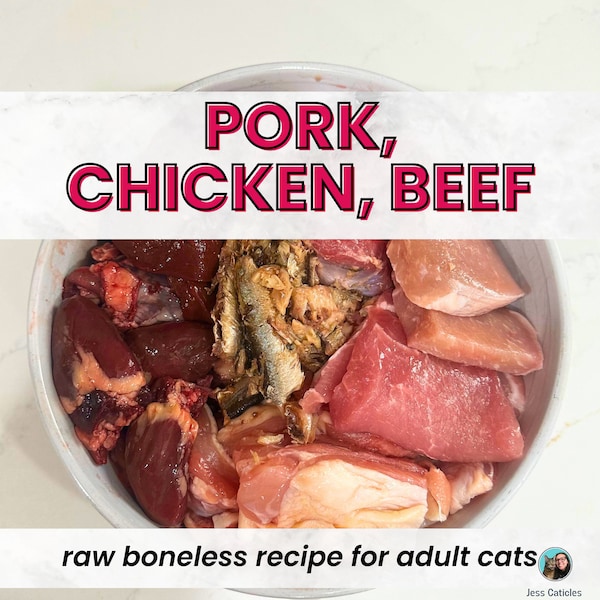 Boneless chicken pork beef and salmon homemade raw cat food, 1 recipe for adult cats, grain free natural meat diet easy diy, pdf printable