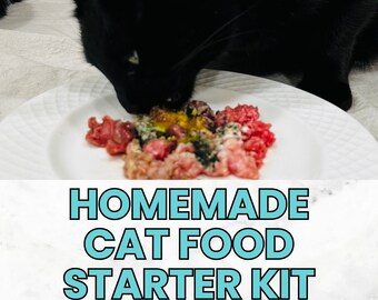 Simple homemade raw cat food video course, DIY cat food recipes, how to make fresh raw food for cats, transitioning cats to new food