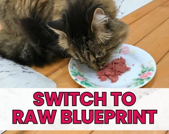 Raw cat food transition video course with ebook, printable, digital, and notion planner, how to switch picky cats food, introduce new diet