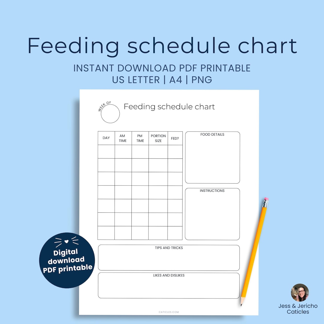 View of Cat Feeding Schedule Chart PDF Printable | US Letter, A4, PNG - Etsy