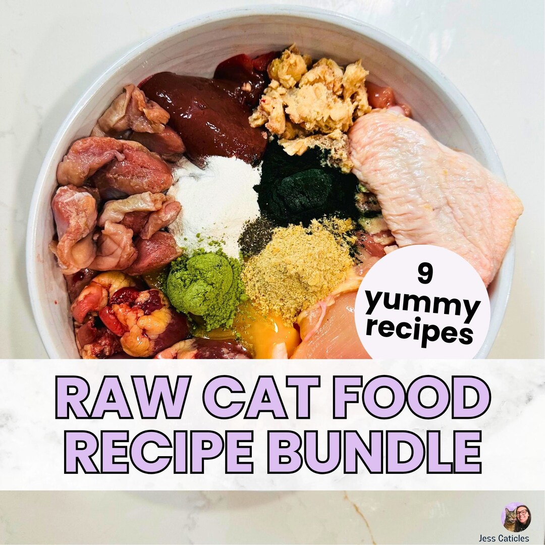 9 Homemade Raw Cat Food Recipes BUNDLE Boneless Raw Meaty Etsy