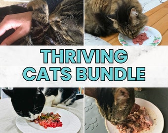 Cat care, switch to raw, homemade cat food recipes BUNDLE, feeding tracker, medical health records, sitter instructions, cats checklists PDF