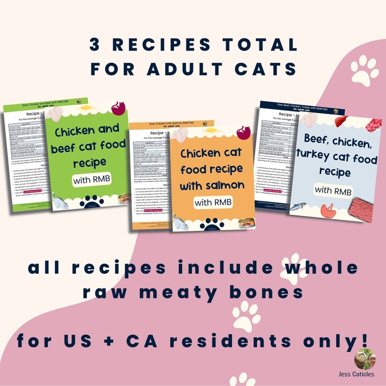 3 raw meaty bones diy homemade cat food recipe BUNDLE for image 2