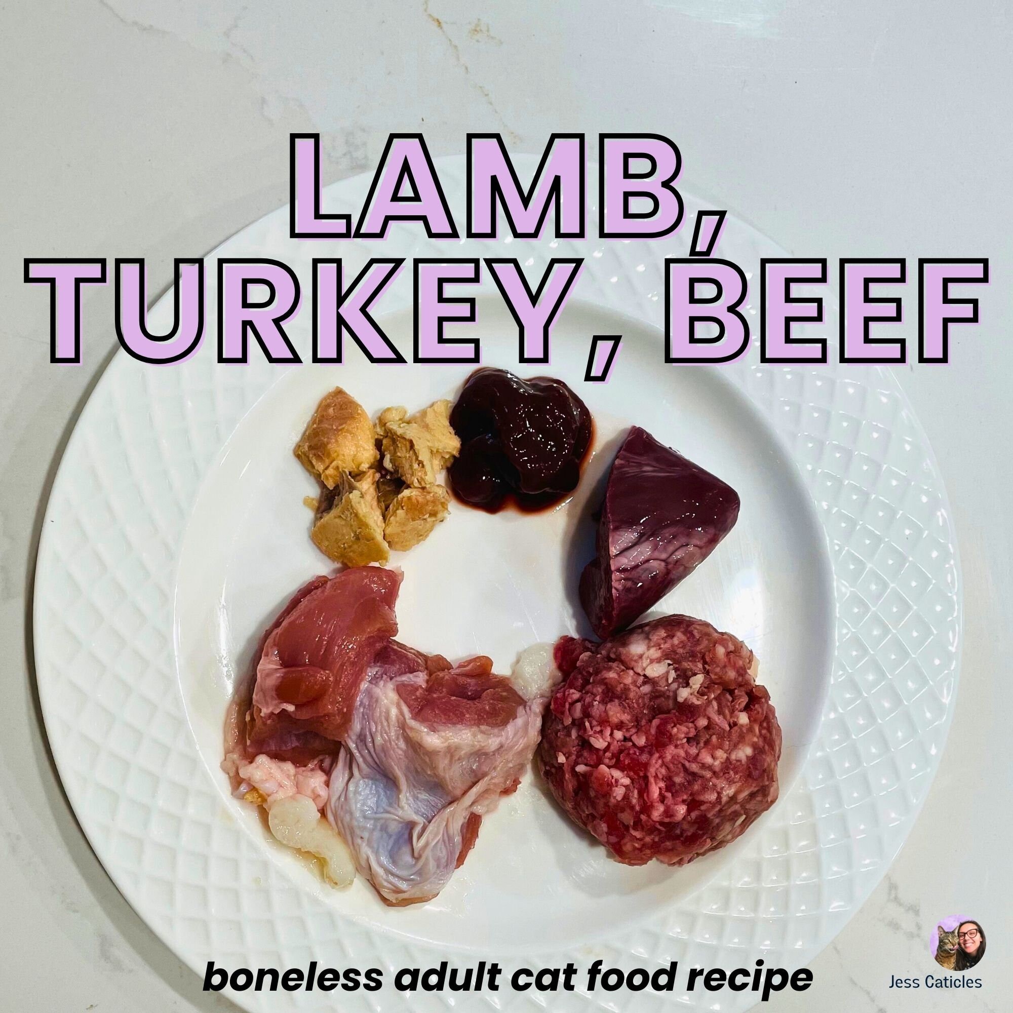 Boneless raw top cat food