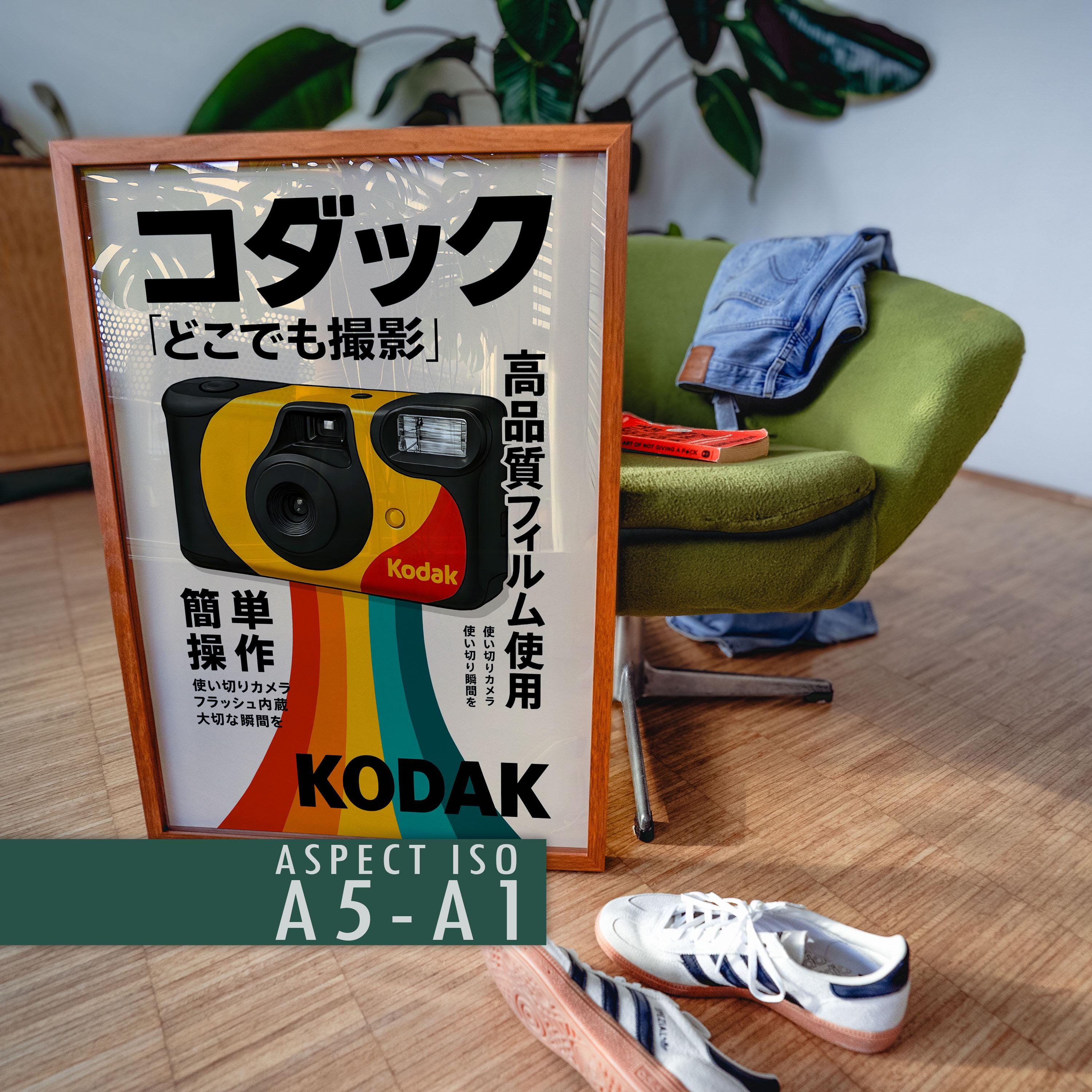 Kodak Disposable Camera Poster Digital Download | Retro Film