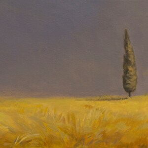 Field - High-Quality Canvas Print, different sizes available, ships from UK