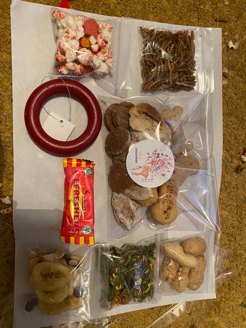 Rats,hamster,rabbit,guinea Pig Treat Box Etsy