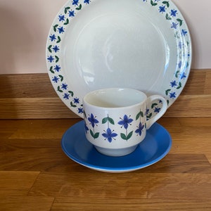 Vintage Staffordshire Midwinter Plate teacup and saucer