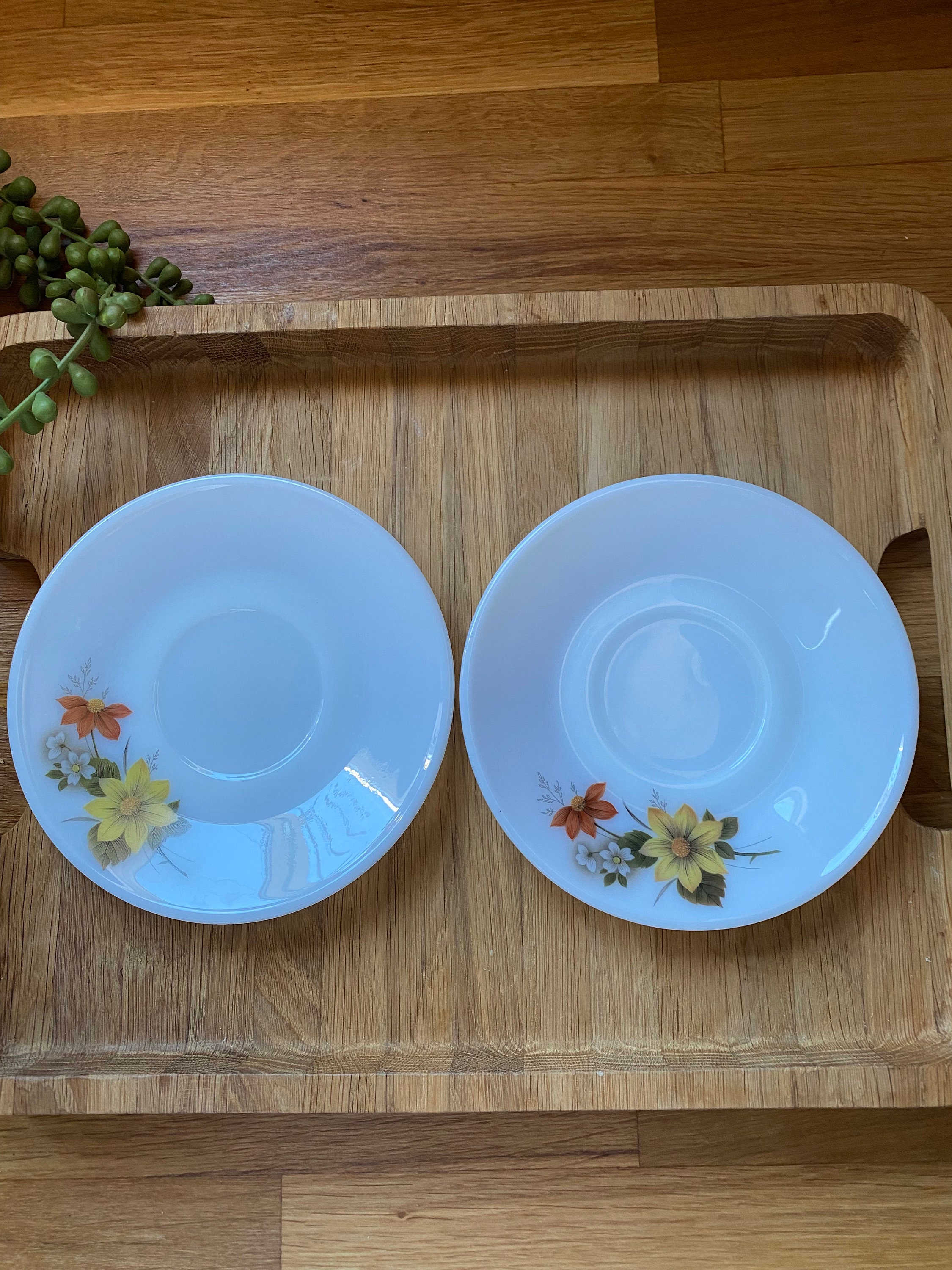 ヴィンテージ レトロ JAJ パイレックス オータム グローリー