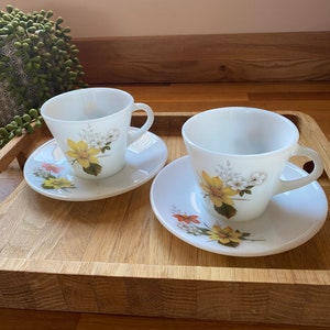 Set Vintage Retro JAJ Pyrex Autumn Glory de 2 tazas y platillo