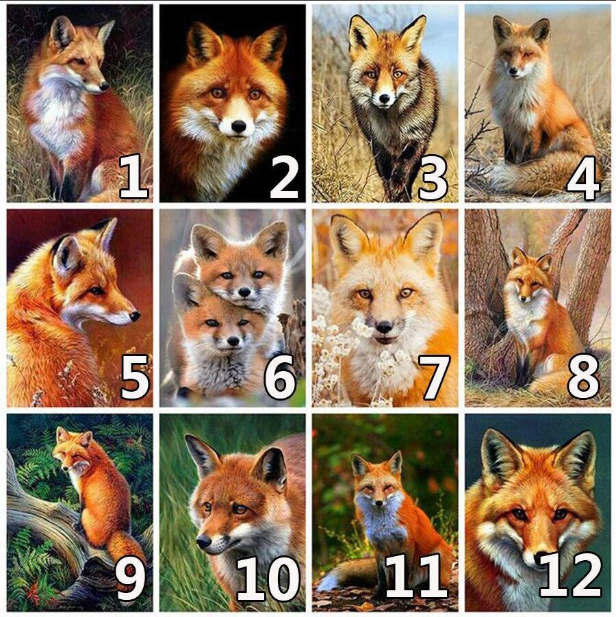 Malen Sie nach Zahl /DIY Malerei Kit /Fuchs / Farbe DIY