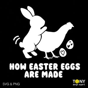 Wie Ostereier gemacht werden, sarkastisches Ostermotiv, Ostern Squad SVG, Ostergeschenk Digitaler Download DTF Sublimation PNG, SVG Cricut