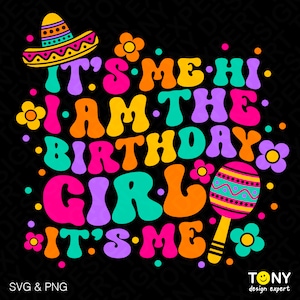 Het is mij Hallo, ik ben het feestvarken Svg Png, grappige Cinco de Mayo Baby Svg, Trendy Retro Groovy Digitale Download Sublimatie PNG & SVG Cricut