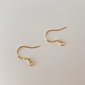 May include: Two gold-toned earring hooks with a small loop at the end.