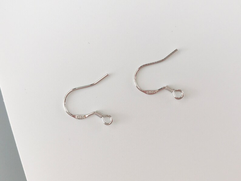 May include: Two silver earring hooks with a small loop at the end.