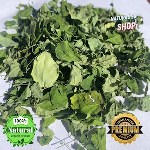 Organic Moringa Dried Leaves: Homegrown Ceylon Moringa Oleifera