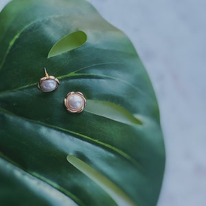 Cultured pearl flower stud earrings in yellow gold