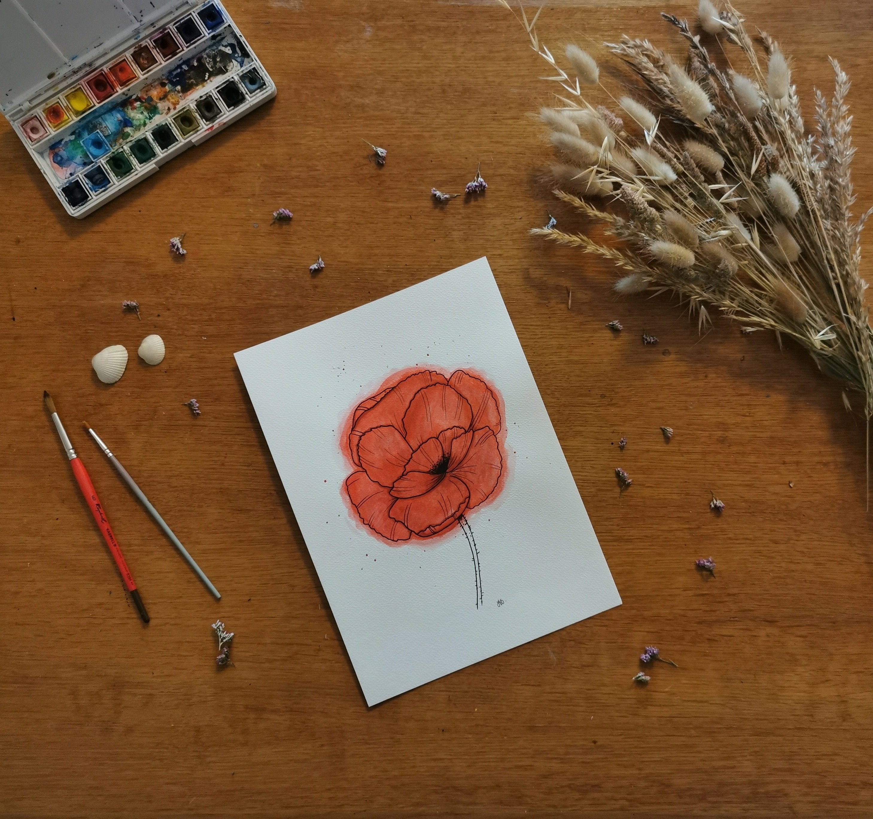 Coquelicot