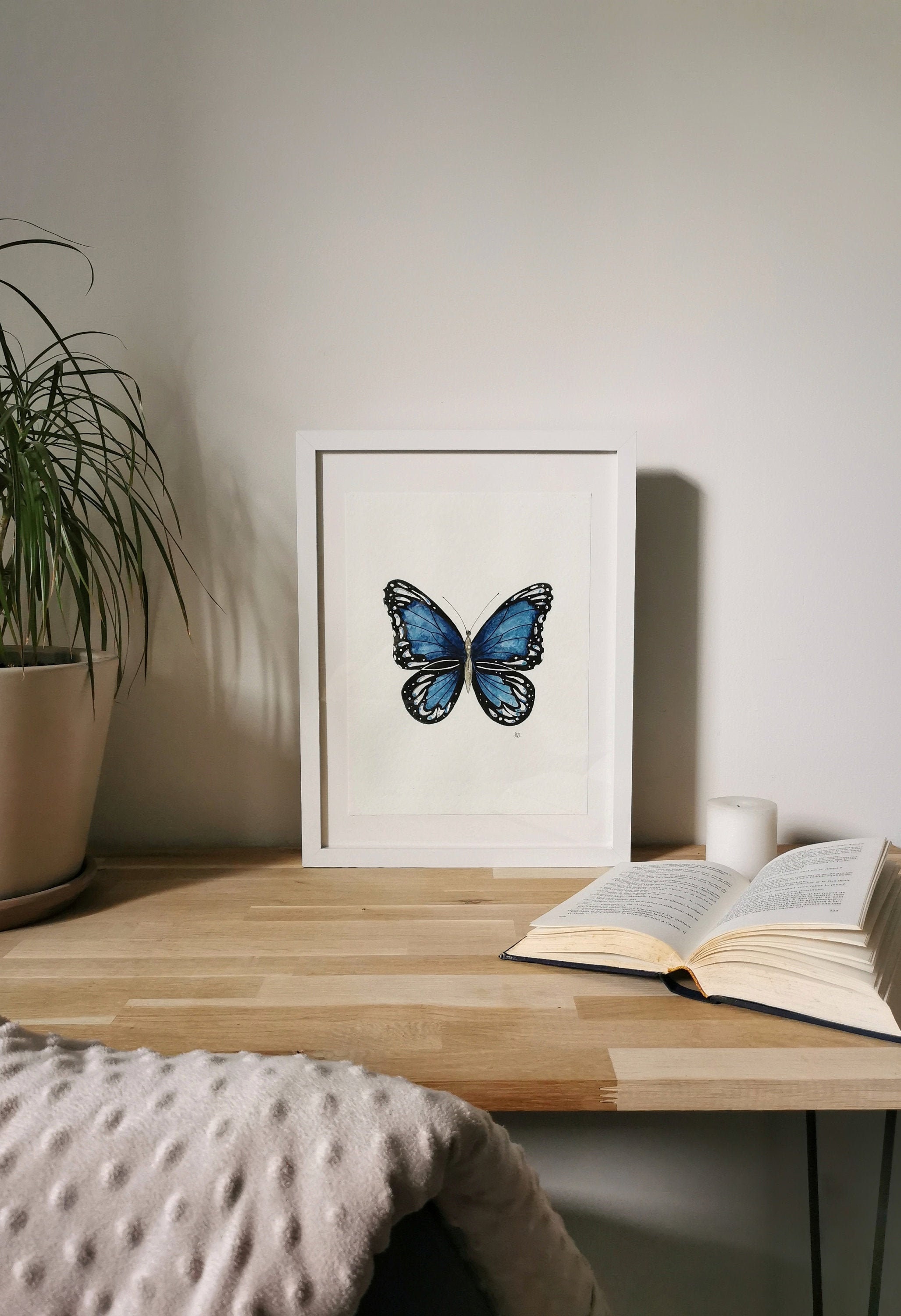 Papillon Bleu & Noir