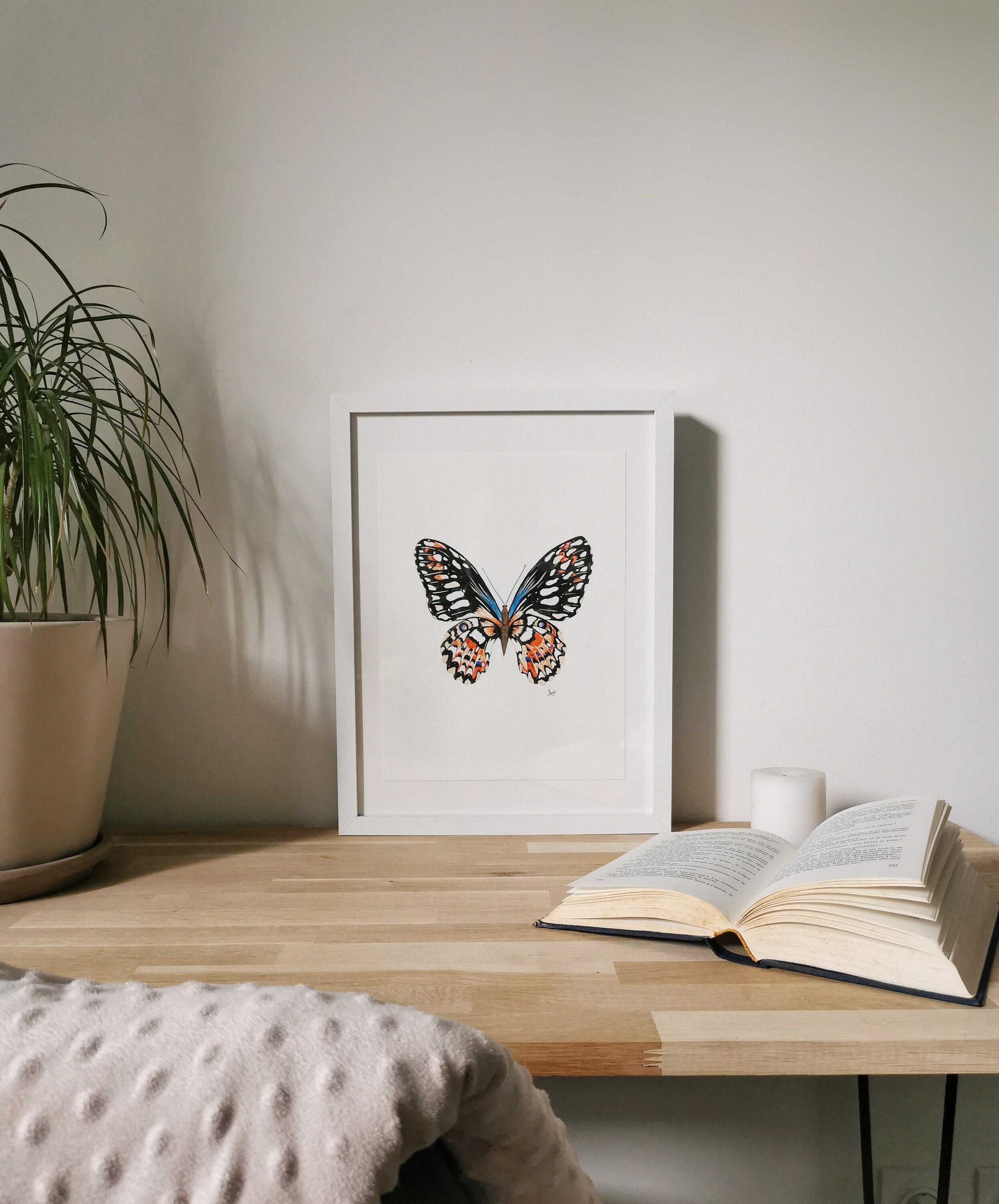 Papillon Orange & Bleu