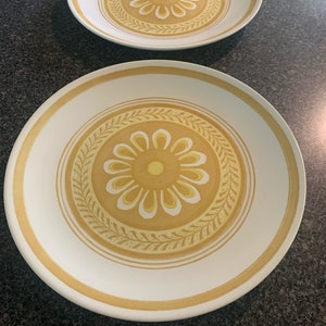 Vintage Casablanca Plates, Set of 2 / Cavalier Ironstone by Royal China